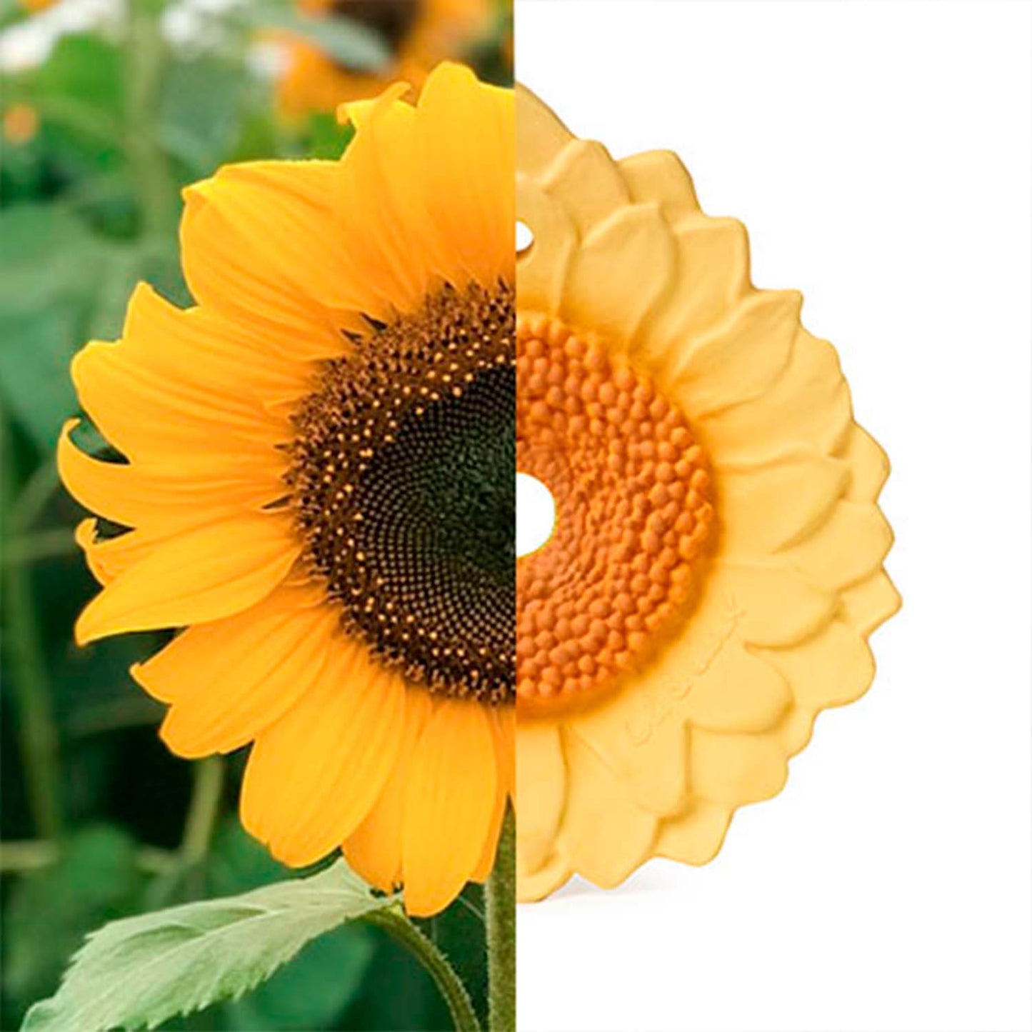 Oli & Carol, Bad und Beißspielzeug, Sun the Sunflower Baby Teether